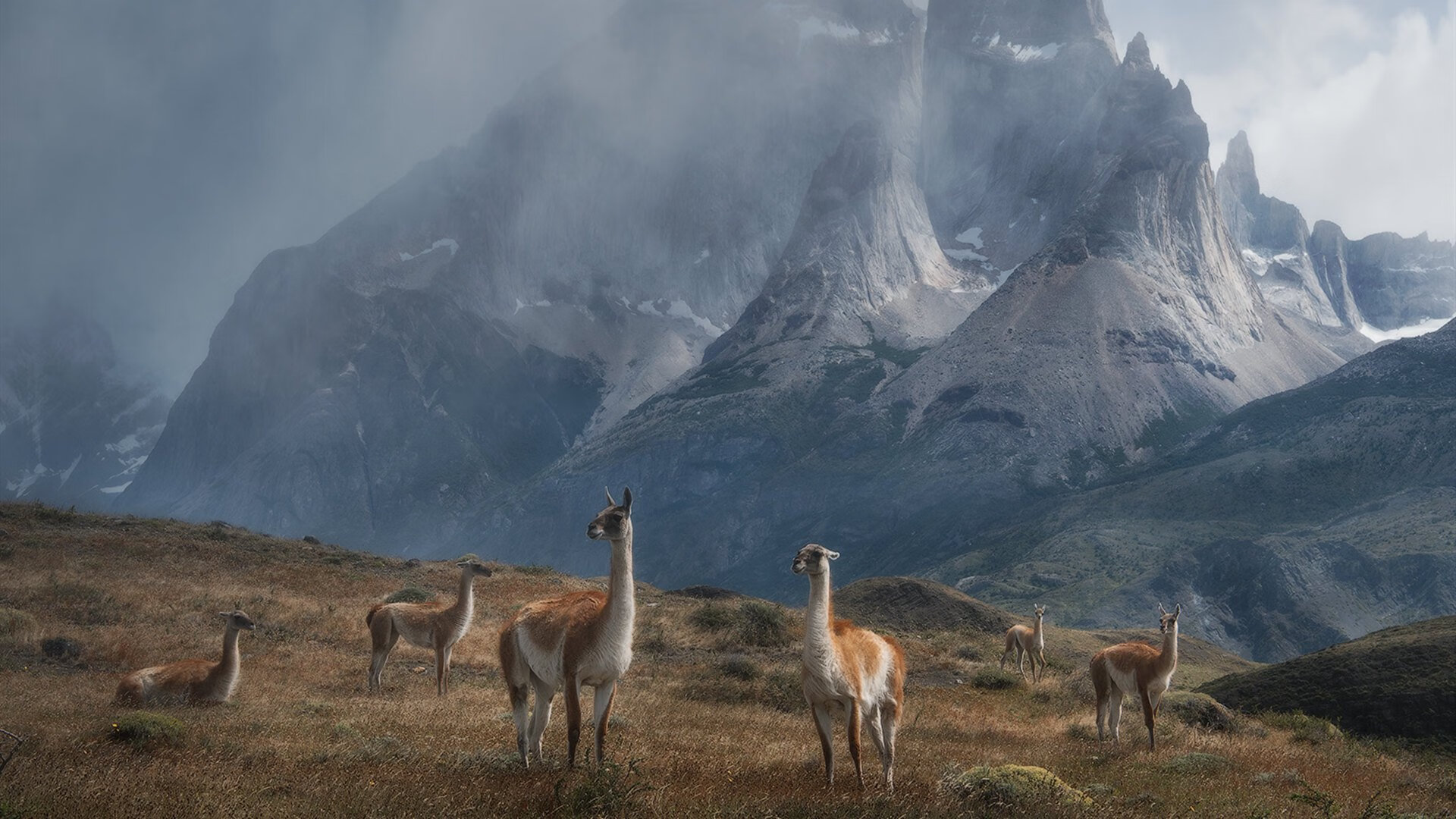 布雷默一锤定音！塞内加尔力克韩国，非洲雄狮如何在亚洲虎口中夺胜？